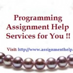 Programming Assignment Help Services