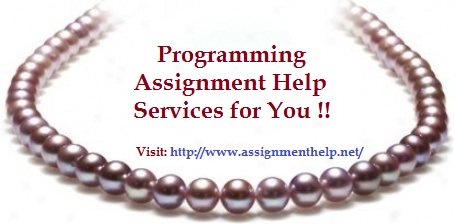 Programming Assignment Help Services