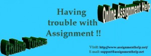 Assignment Help