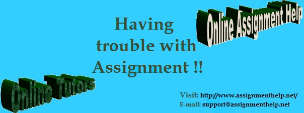 Online Assignment Help Services