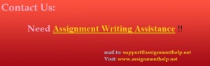 Assignment Help