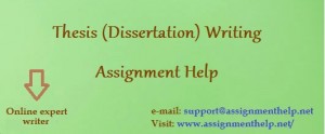 Assignment Help