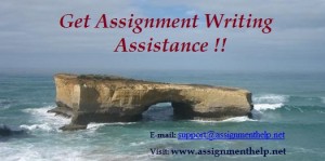 Assignment Help