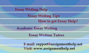 Assignment Help