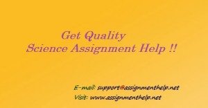 Assignment Help