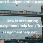 Assignment Help