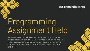 Programming Assignment Help