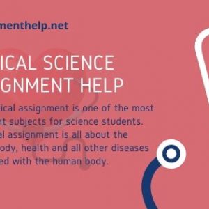 Assignment Help