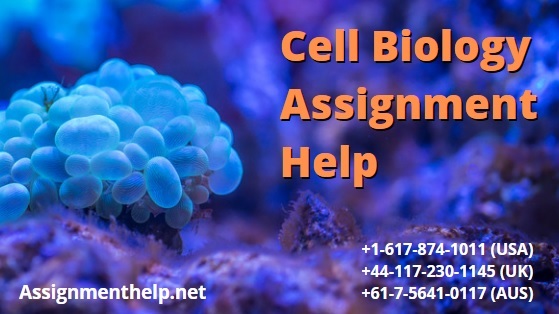 Cell Biology Assignment Help