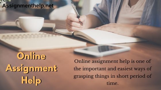 online assignment help