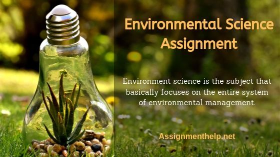 environmental science assignment