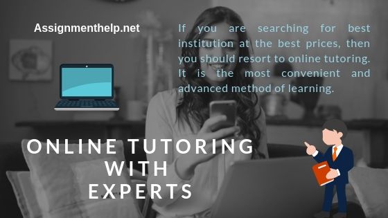 online tutoring with experts