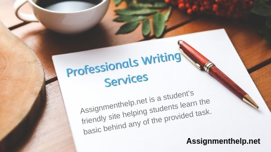professionals writing services