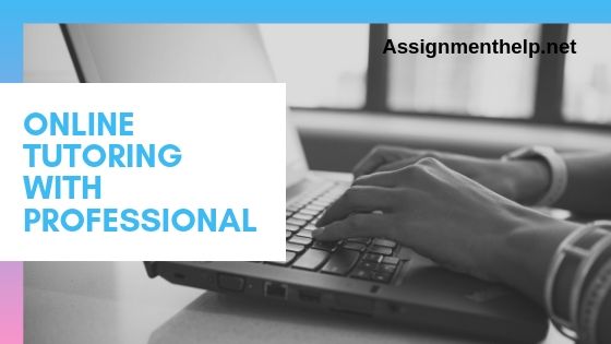 online tutoring with professional