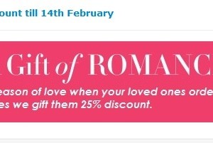 Valentines Day Homework Help Discount