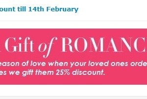 Valentines Day Homework Help Discount