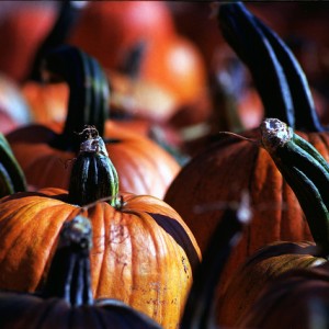 Halloween Pumpkin