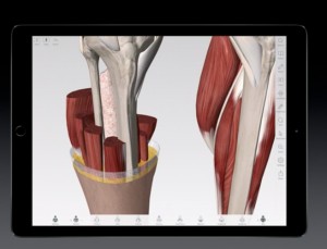 iPad Pro Elearning device