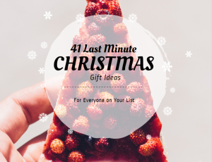 2015 Holiday Gift Guide