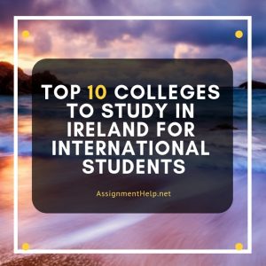 College Assignment Help