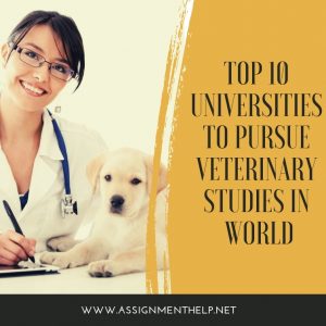 tips for students