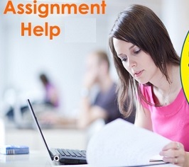 Assignment Help