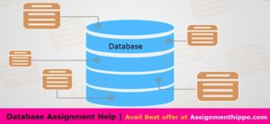 Assignment Help