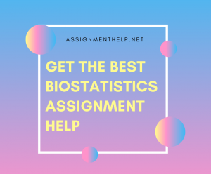 Assignment Help