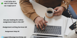 Assignmenthelp UK