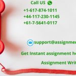 Assignment Help Services