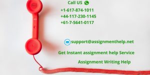 Assignment Help Services