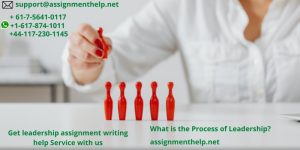 Assignment Help Services