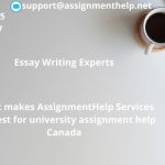 Assignment Help Services