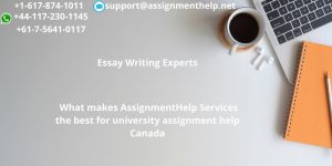 Assignment Help Services