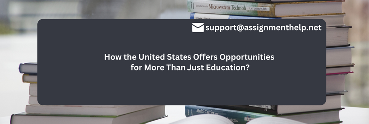 How the United States Offers Opportunities for More Than Just Education?