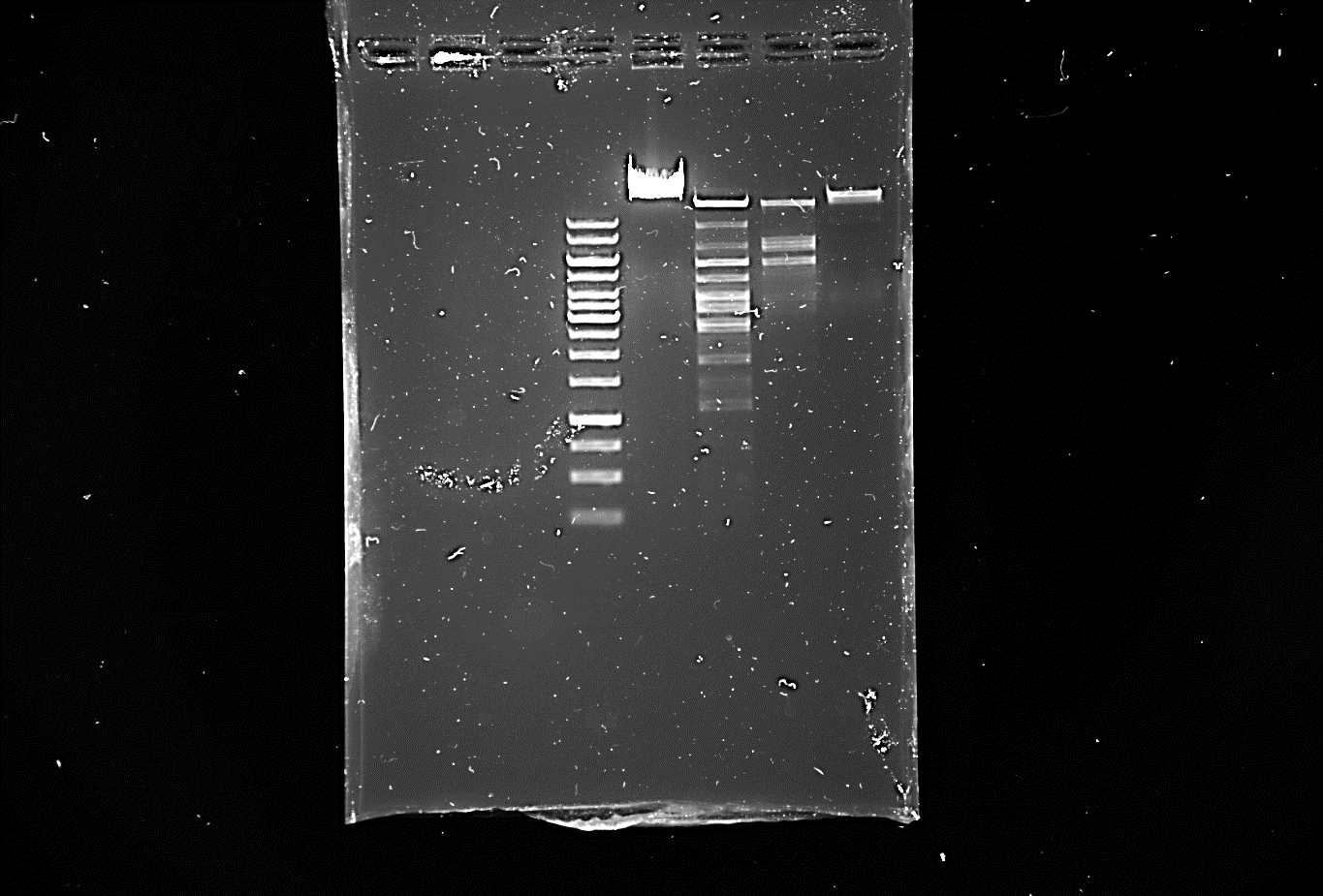 A picture containing dark, outdoor Description automatically generated