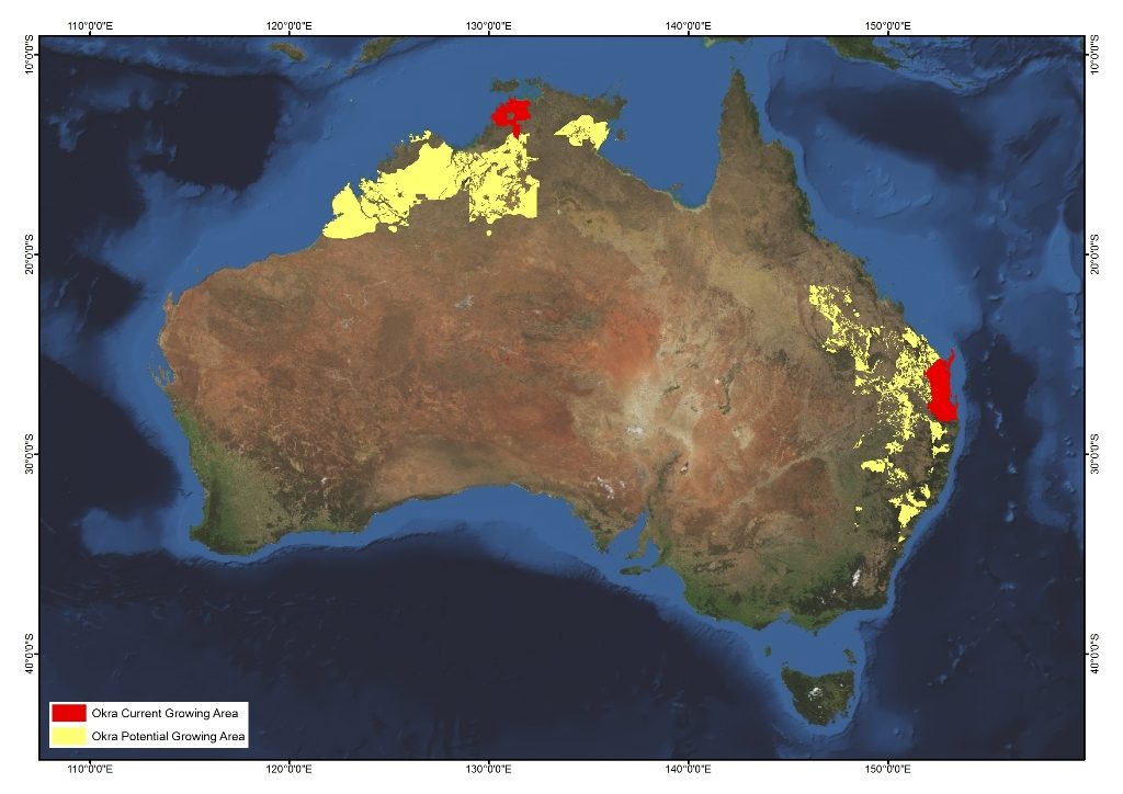 An image of Australia with red highlights indicating current okra growing areas and yellow highlights indicating potential growing areas.
