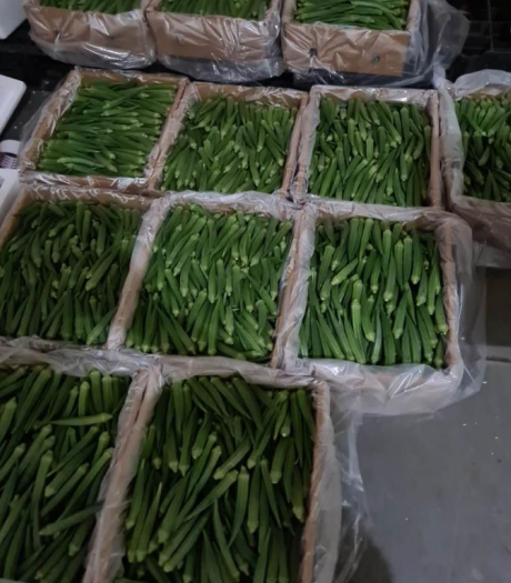 Packed okra. Okra fruits are contained in plastic lined cardboard boxes. 