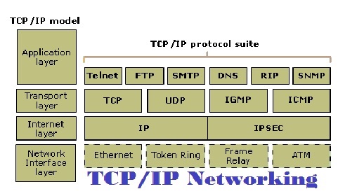 TCP/IP Networking Assignment