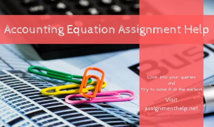 Accounting Equation Assignment Help