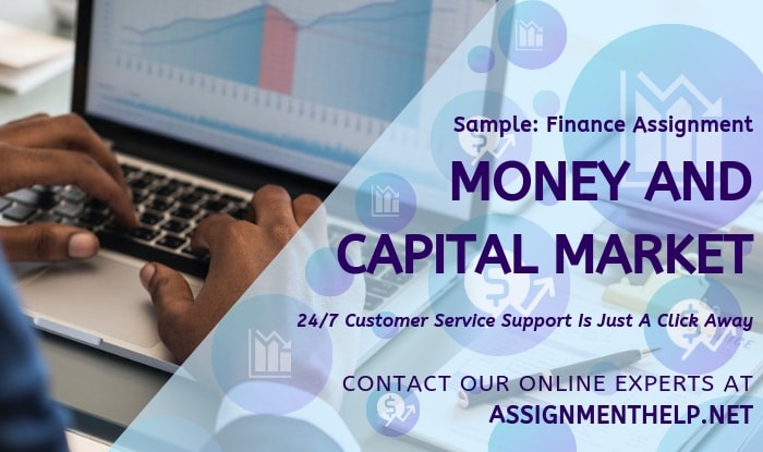 Assignment Help Capital Market
