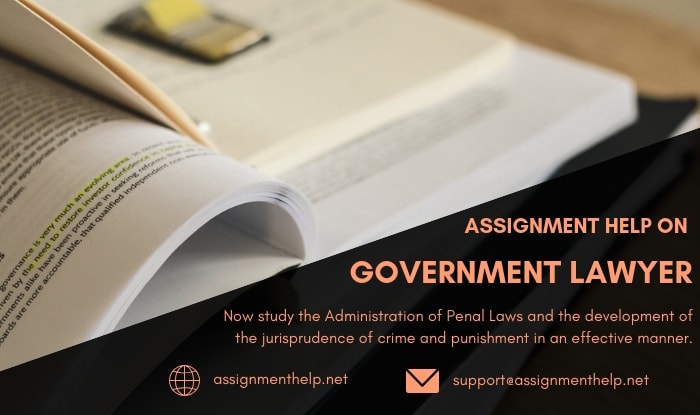 Assignment Help on Government Lawyer