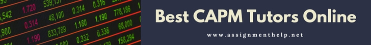 best capm tutors online