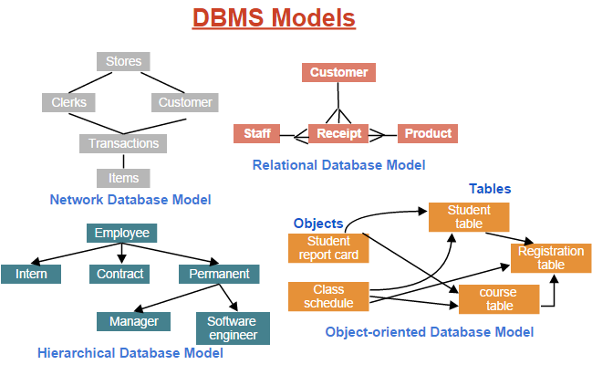 DBMS Models
