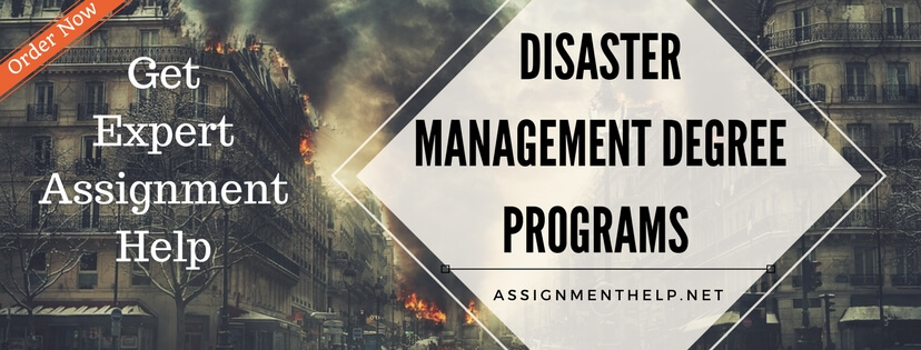 assignment on disaster management