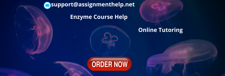 Enzyme Assignment Help