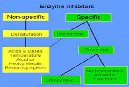 enzymes inhibition