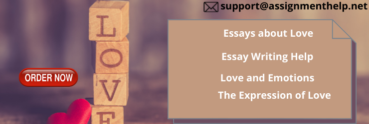 Essays about love