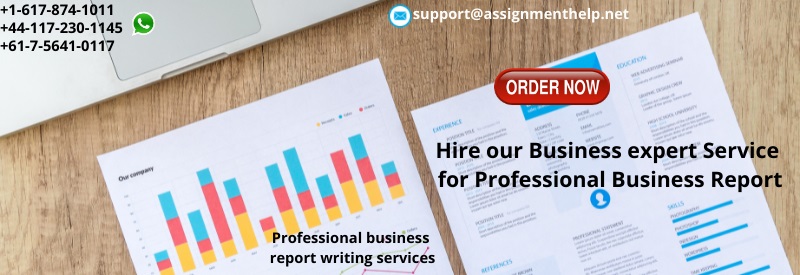 Hire our Business expert Service for Professional Business Report