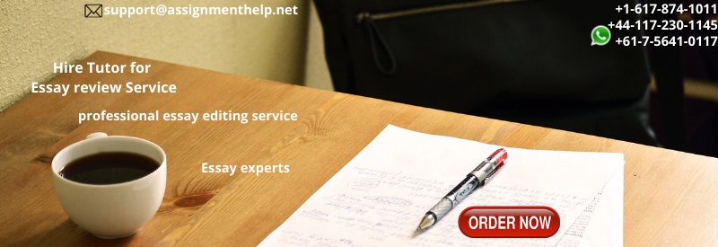 Hire Tutor for Essay review Service